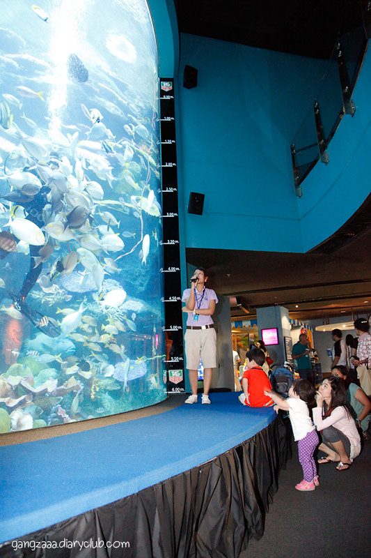 siam ocean world ครั้งแรก ตื่นเต้นจัง
