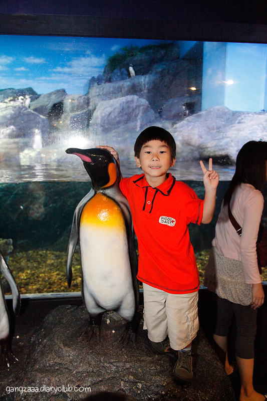 siam ocean world ครั้งแรก ตื่นเต้นจัง