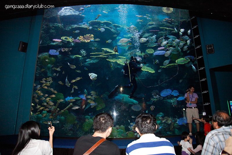 siam ocean world ครั้งแรก ตื่นเต้นจัง