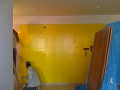 [Painting the living room wall bumblebee_3[2].jpg]