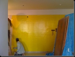 Painting the living room wall bumblebee_3