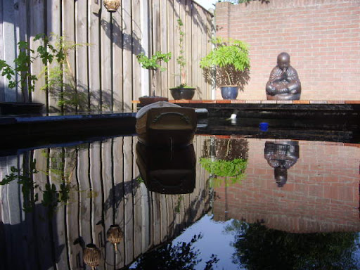 S6000082.JPG