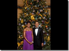 President Barack Obama and First Lady Michelle Obama pose for a formal portrait in front of the official White House Christmas Tree