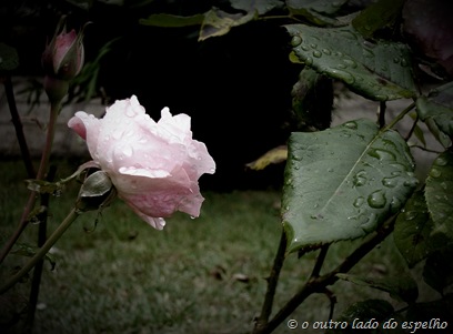 DSC01420