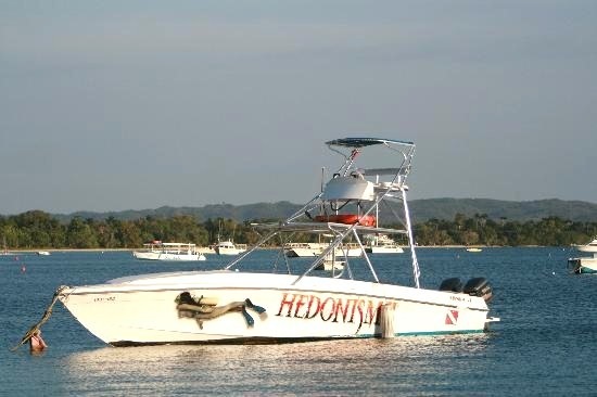 [dive-boat[3].jpg]