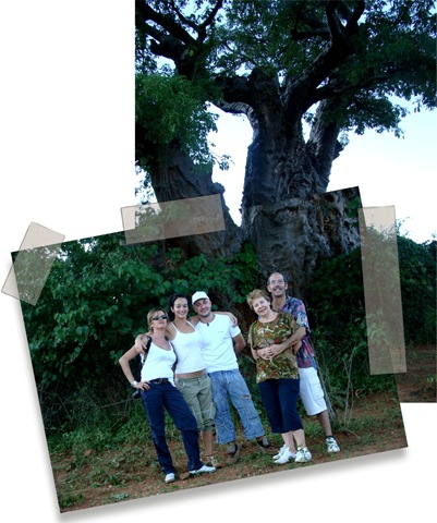 [DSC037295.jpg]