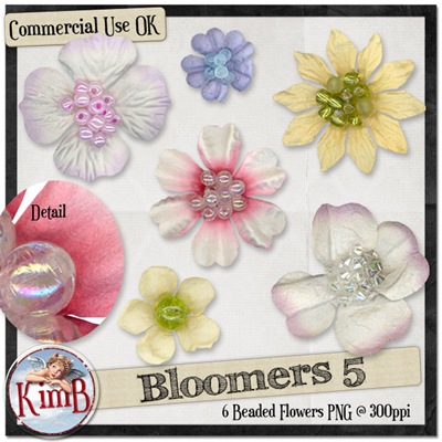 [kb-bloomers5[3].jpg]