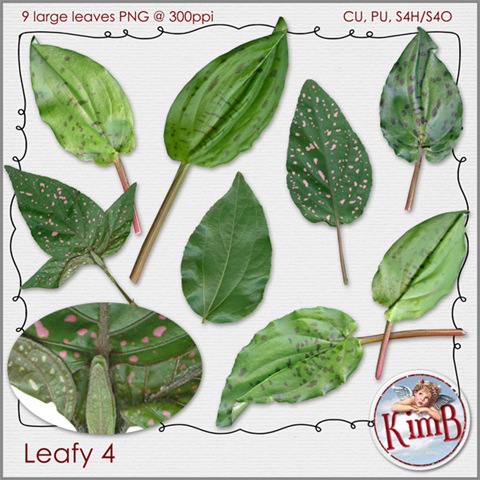 [kb-leafy4[3].jpg]