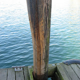 False Creek Ferries have been around for a while, and so has this post. Now I know why they wrap them in metal.