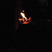 DSC_7485.JPG