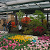 T-TR-NT-09-0906.JPG, Keukenhof - The Netherlands - Diane's Trip to the Netherlands - 4/4/09, Diane's Trip to the Netherlands Day 9