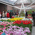 T-TR-NT-09-1016.JPG, Keukenhof - The Netherlands - Diane's Trip to the Netherlands - 4/4/09, Diane's Trip to the Netherlands Day 9