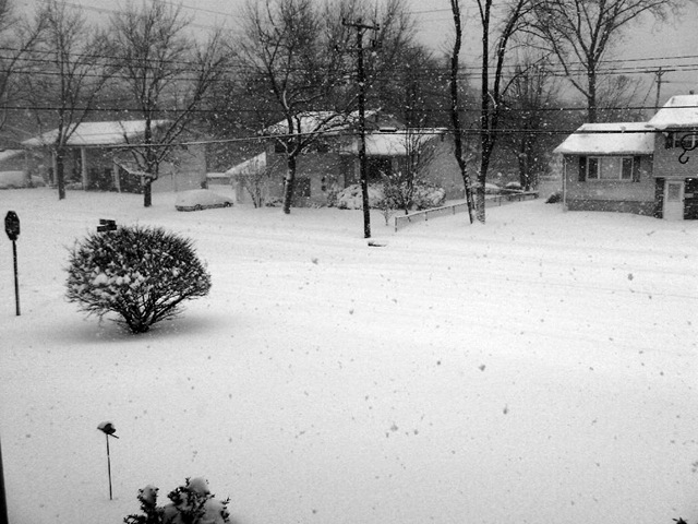 [snow[3].jpg]