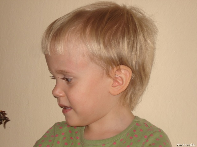 [DSC091577.jpg]
