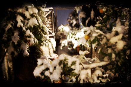 nieve