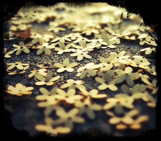 flores de papel
