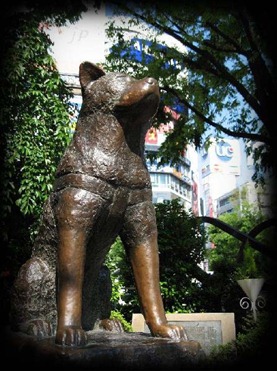 154775-hachiko-statue-shibuya-tokyo---famous-meeting-point-tokyo-japan hachiko