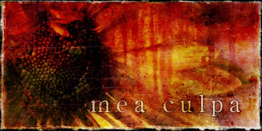 mea culpa