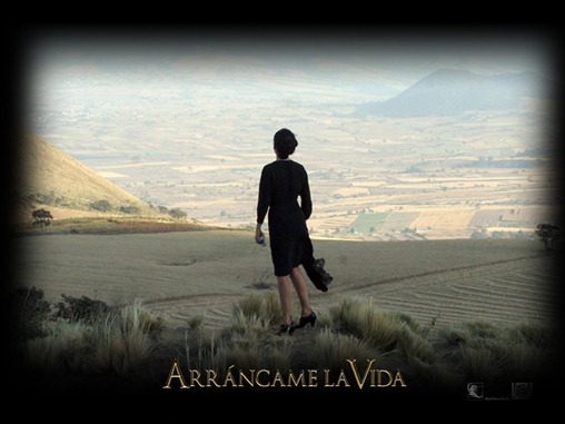 paisaje1_1024x768