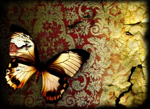 Mariposas