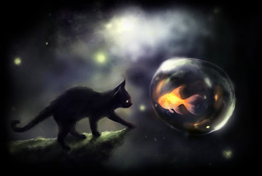 Click here to get images like this!