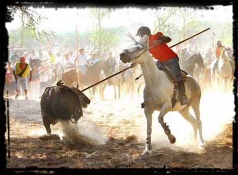 t5345toro-de-la-vega toro-de-la-vega