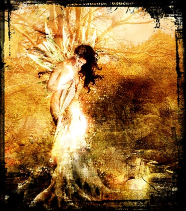 raices y alas