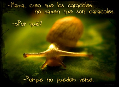 Los caracoles no saben que son caracoles