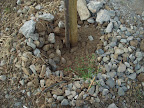 P1010017.JPG