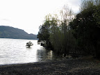DSCN8109.JPG