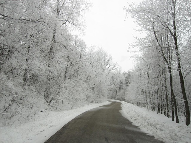 [frost 1[3].jpg]
