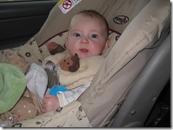 ava in car