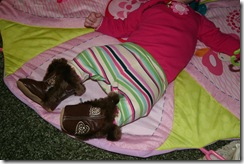ava and susie and boots
