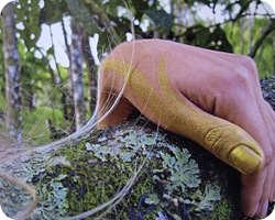IMG_6005 IMG_6005