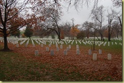 Arlington 1