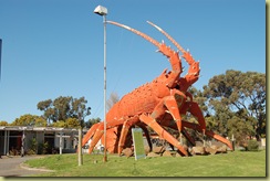 The Big Lobster