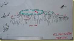 Elphiston Hamra Dive Plan-1 Elphiston Hamra Dive Plan-1