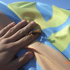 CIMG2782.JPG