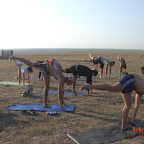 CIMG2800.JPG