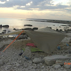 CIMG2897.JPG