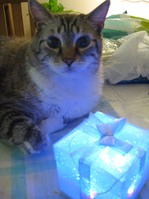 Didy says Merry Christmas