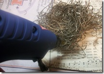 nest
