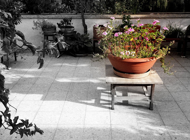 Котографии. 