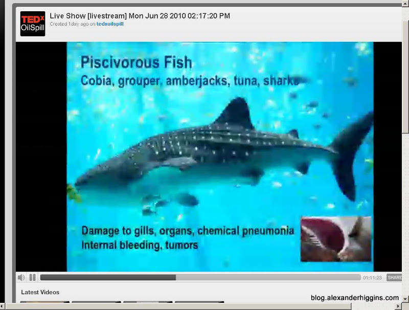 Corexit + Oil plumes will cause damage to Gills, Organs, Chemical Pneumonia, internal bleeding, and tumors to sea life Corexit + Oil plumes will cause damage to Gills, Organs, Chemical Pneumonia, internal bleeding, and tumors to sea life