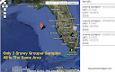 Only 3 Snowy Grouper Samples Taken, All In The Same Area