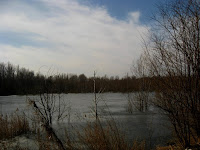 staw upadowy przy Ceglanej Photo