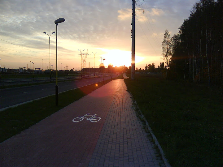dsc00133.jpg