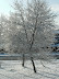 pic00765.jpg