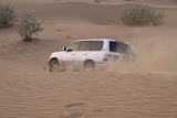 IMG_5269.JPG