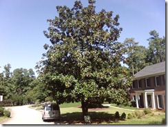Photo0219